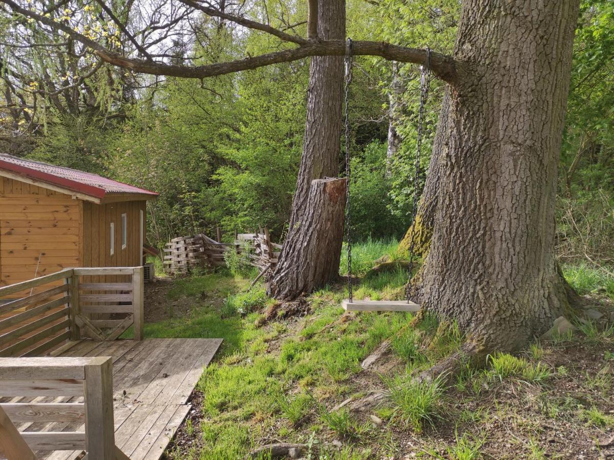 Villa Mobilni Dum Dolní Dvořiště Esterno foto